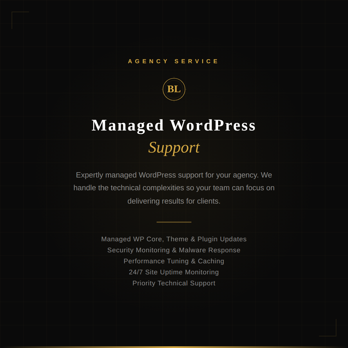 WordPress support specialist managing agency client websites on a laptop