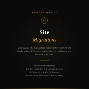 Black Label Hosting technician managing a professional website migration service