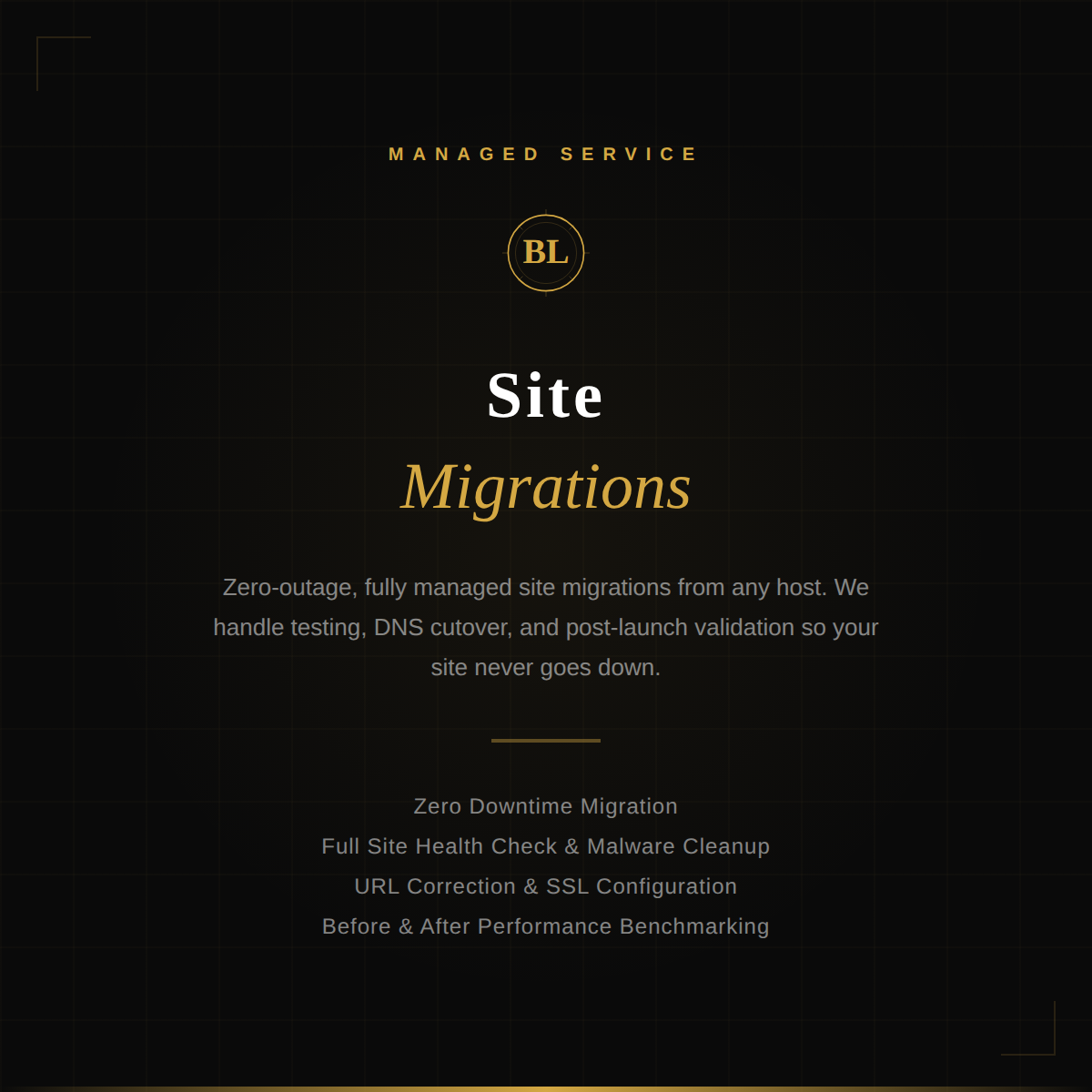 Black Label Hosting technician managing a professional website migration service