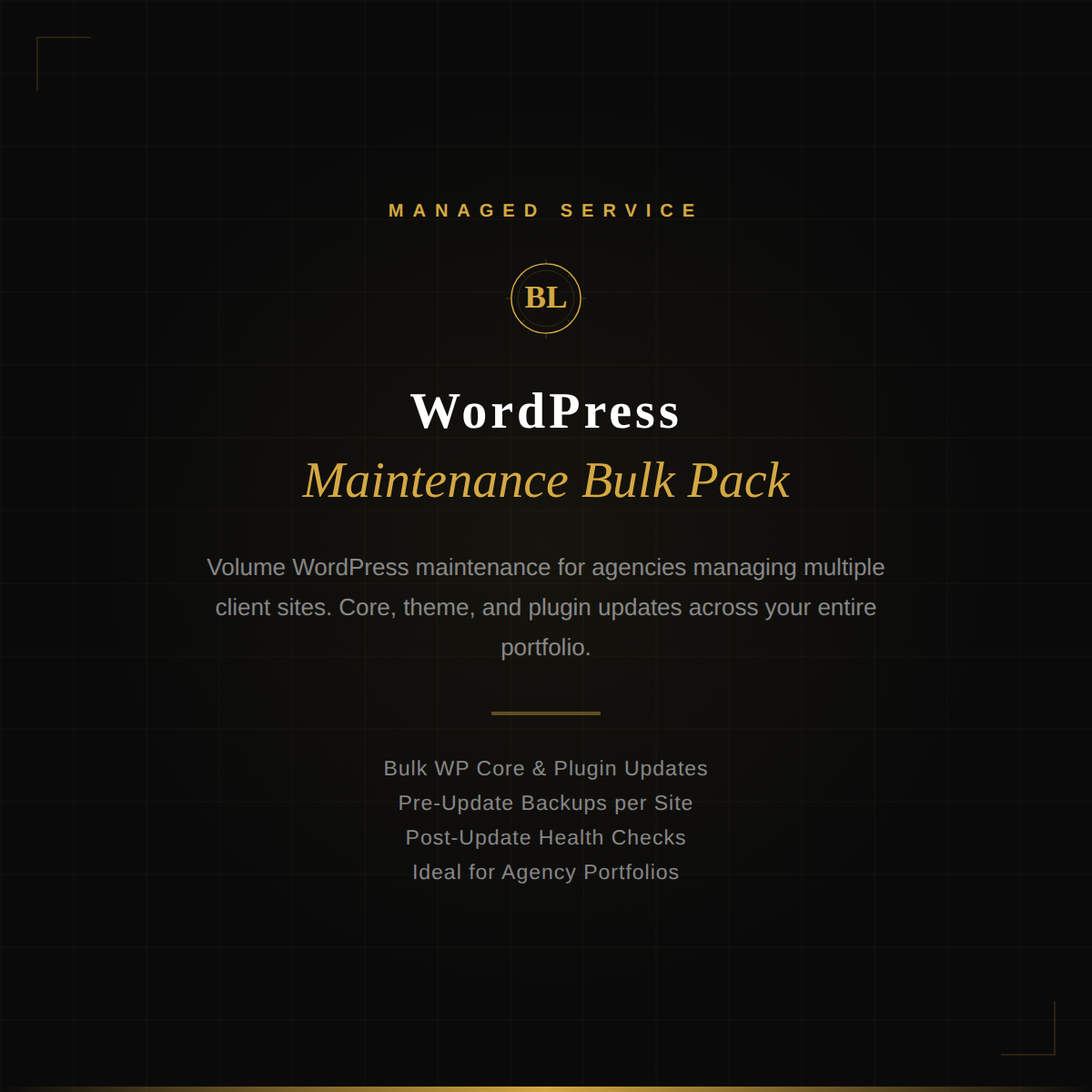 Bulk WordPress maintenance pack covering up to ten client websites